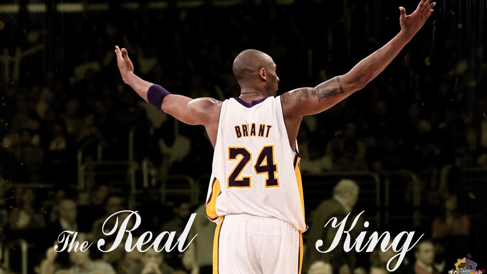 赛场应变能力增强,战术执行更坚决,赛场发挥